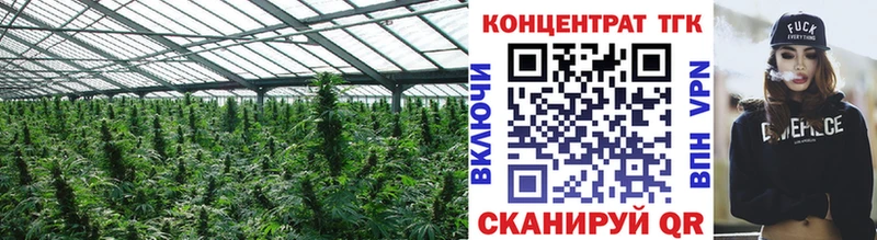 ТГК концентрат Александровское