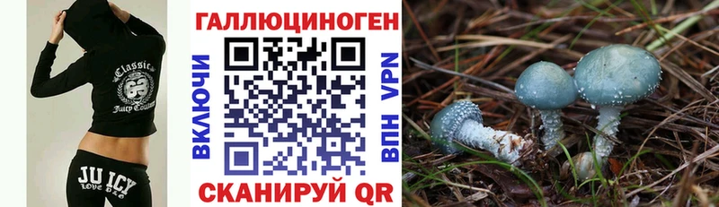 Галлюциногенные грибы Cubensis Александровское