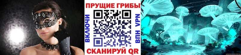 Галлюциногенные грибы Psilocybine cubensis Александровское
